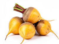 Golden beet