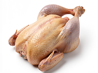 Duck (whole, with skin)