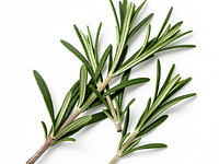 Rosemary sprig (for decoration)