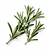 Rosemary sprig (for decoration)