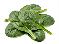 Fresh spinach (leaves)