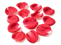 Edible rose petals