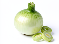 Spring onion (scallion)