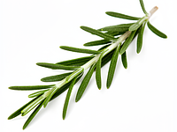Gałązka rozmarynu (opcjonalnie)