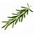 Sprig of rosemary (optional)