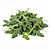 Salad mix (baby kale and arugula)