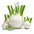 Fennel (bulb of Florence fennel)