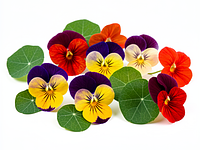 Kwiaty jadalne (np. bratki, nasturcje)