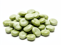 Fresh fava beans (shelled)