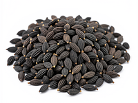 Black cumin seeds