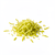 Grated lime zest