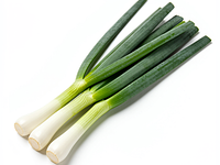 Spring onion