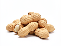 Roasted peanuts
