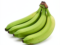 Green cooking bananas (plantains)