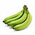 Green cooking bananas (plantains)