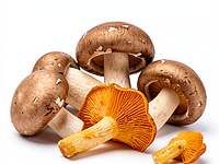 Świeże grzyby (np. kurki, podgrzybki, boczniaki)