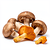 Fresh mushrooms (e.g. chanterelles, porcini, oyster mushrooms)