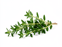 Thyme (fresh)