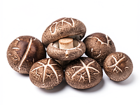 fresh shiitake mushrooms
