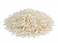 Jasmine rice