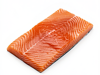 Fresh salmon fillet