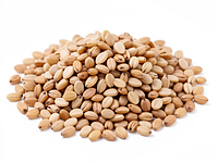 Barley groats