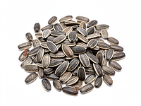 Shelled sunflower seeds