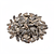 Shelled sunflower seeds