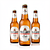 Piwo jasne (lager)