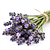 Dried culinary lavender