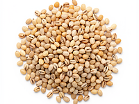 barley groats