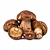 Dried porcini mushrooms