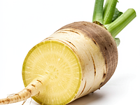 Fresh horseradish