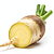 Fresh horseradish