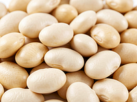 Biała fasola z puszki