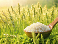 Long-grain rice (for the clearing)
