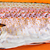 Brook trout