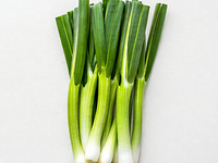 Green onion
