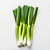 Green onion