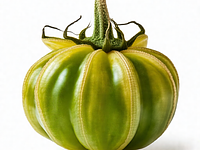 Tomatillo (miechunka pomidorowa)