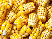 Prażone ziarna kukurydzy (cancha)