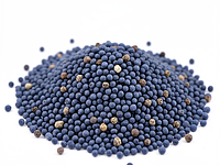 Blue poppy seeds, dry