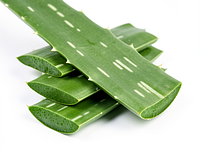 Fresh aloe leaf (edible)