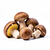 Mixed forest mushrooms (fresh or frozen)