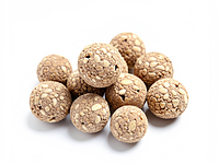 Wine yeast