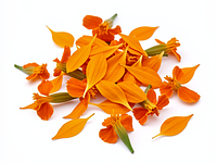 Fresh marigold flower petals