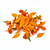 Fresh marigold flower petals