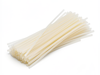 Rice vermicelli noodles