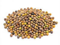 Mustard seeds