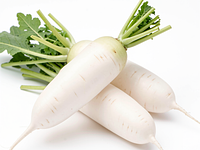 Biała rzodkiew (daikon)